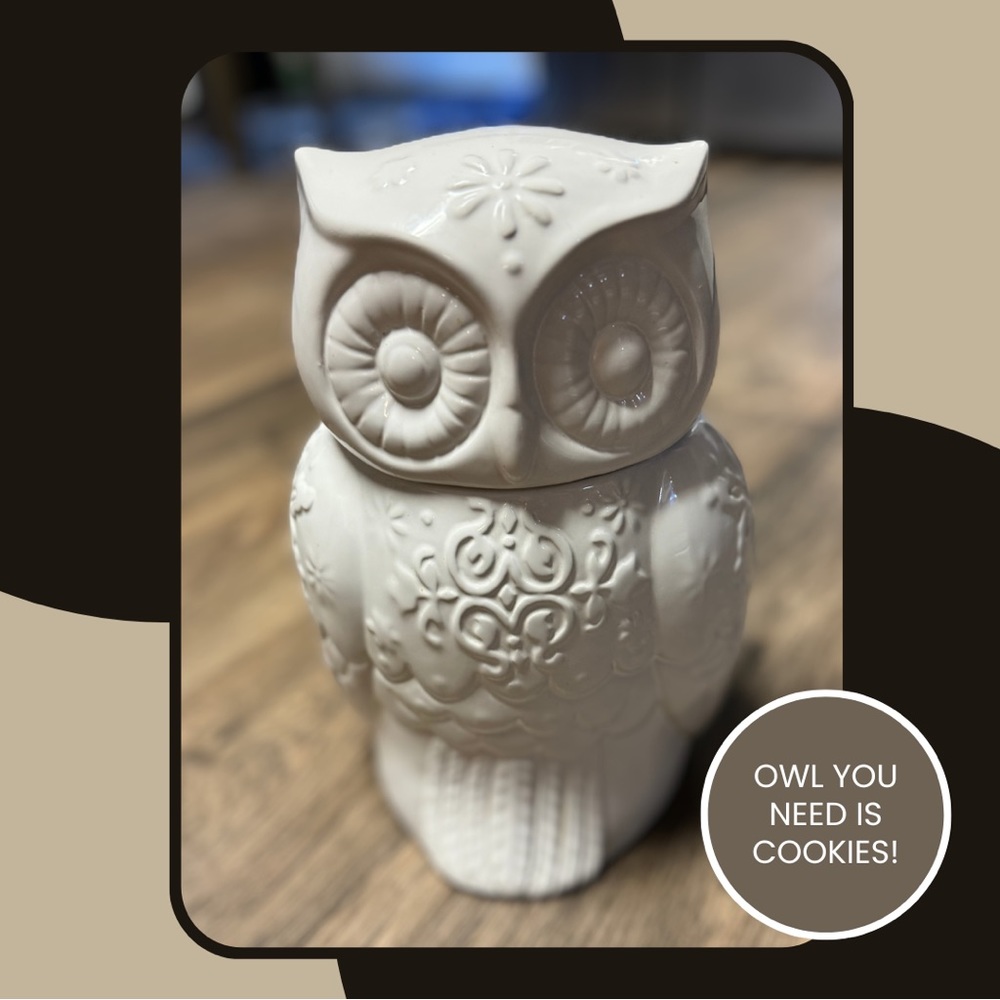 World Market Owl-shaped Ceramic Cookie Jar for Your Sweet Delights